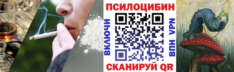 магазин продажи наркотиков  Семёнов  блэк спрут ССЫЛКА  Галлюциногенные грибы MAGIC MUSHROOMS 